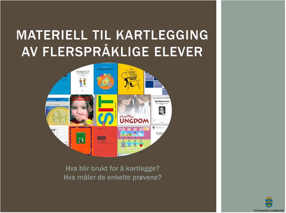 blir brukt for å kartlegge?