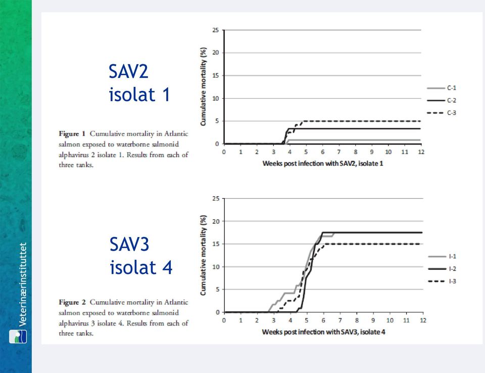 SAV3