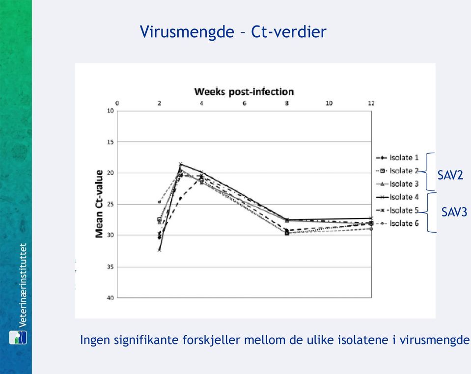 signifikante forskjeller