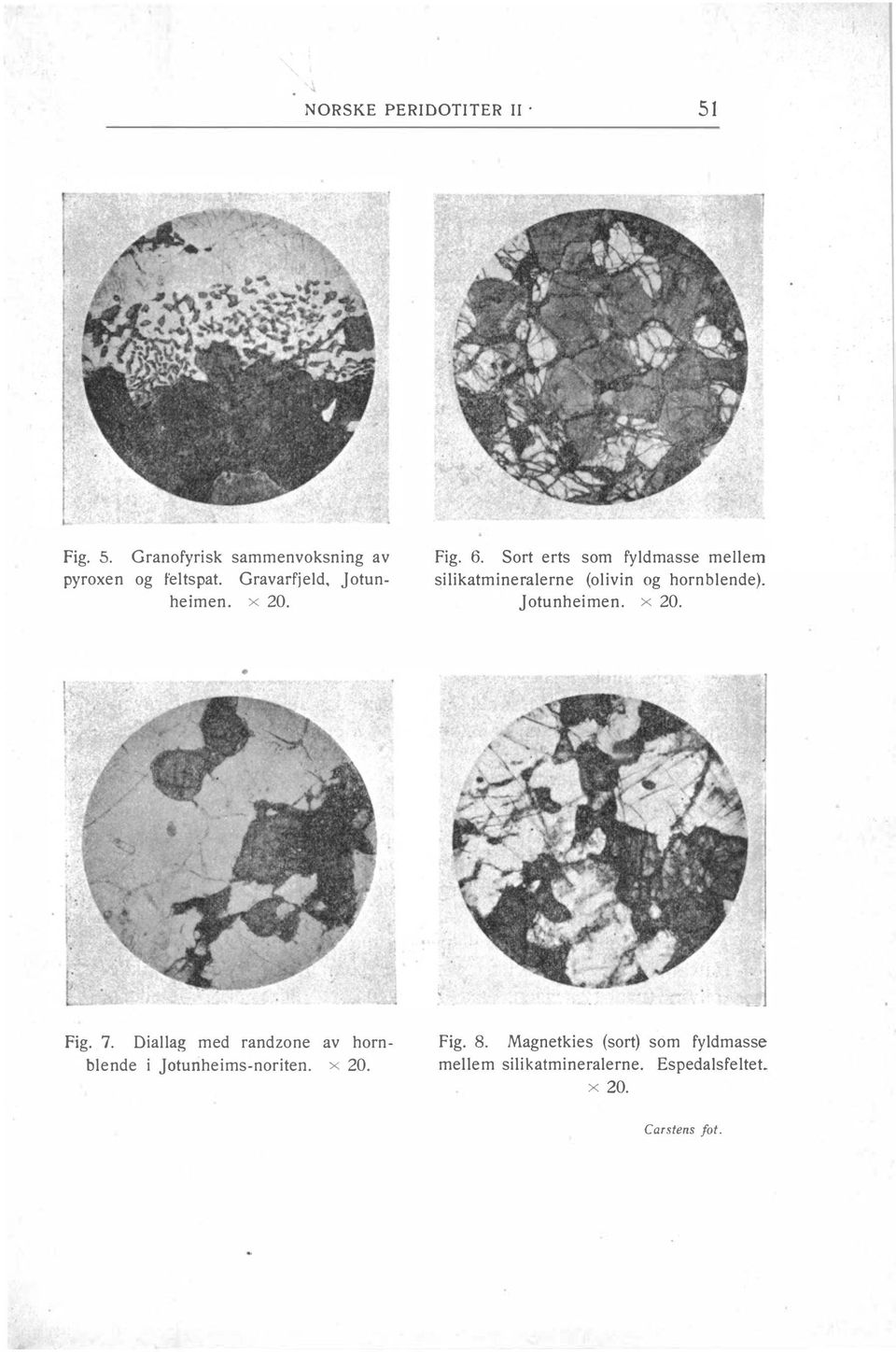 Sort erts som fyldmasse mellem silikatmineralerne (olivin og hornblende). Jotunheimen. x 20. Fig.