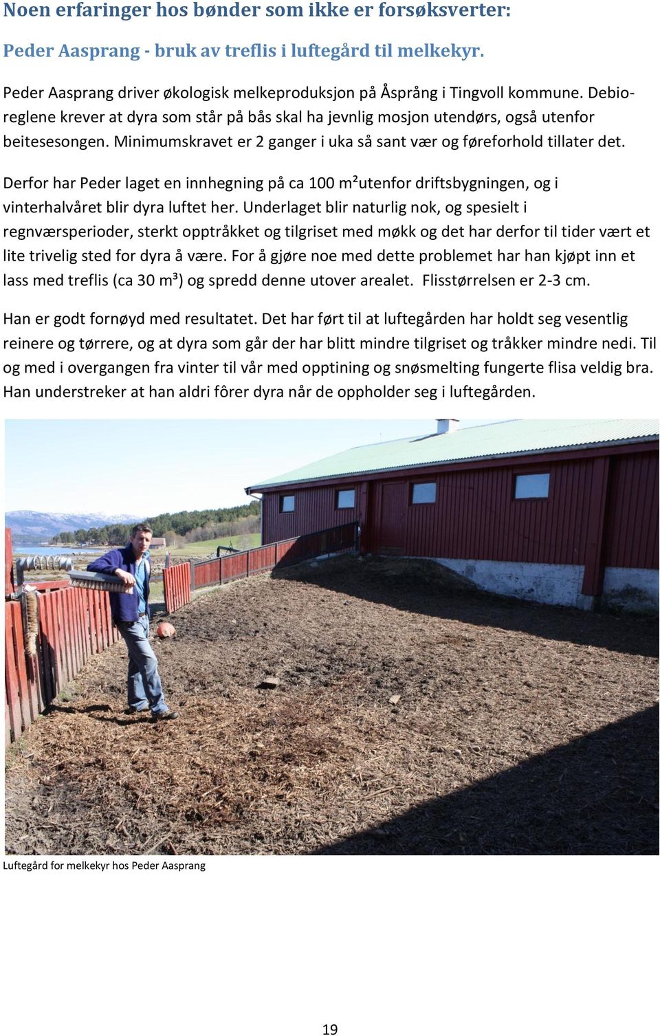 Derfor har Peder laget en innhegning på ca 100 m²utenfor driftsbygningen, og i vinterhalvåret blir dyra luftet her.