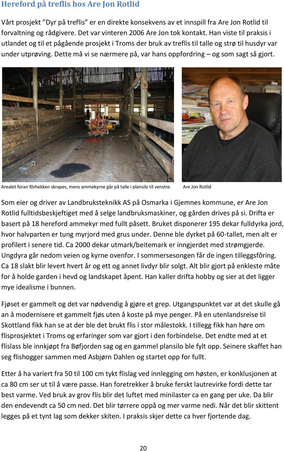 Dette må vi se nærmere på, var hans oppfordring og som sagt så gjort. Arealet foran fôrhekken skrapes, mens ammekyrne går på talle i plansilo til venstre.