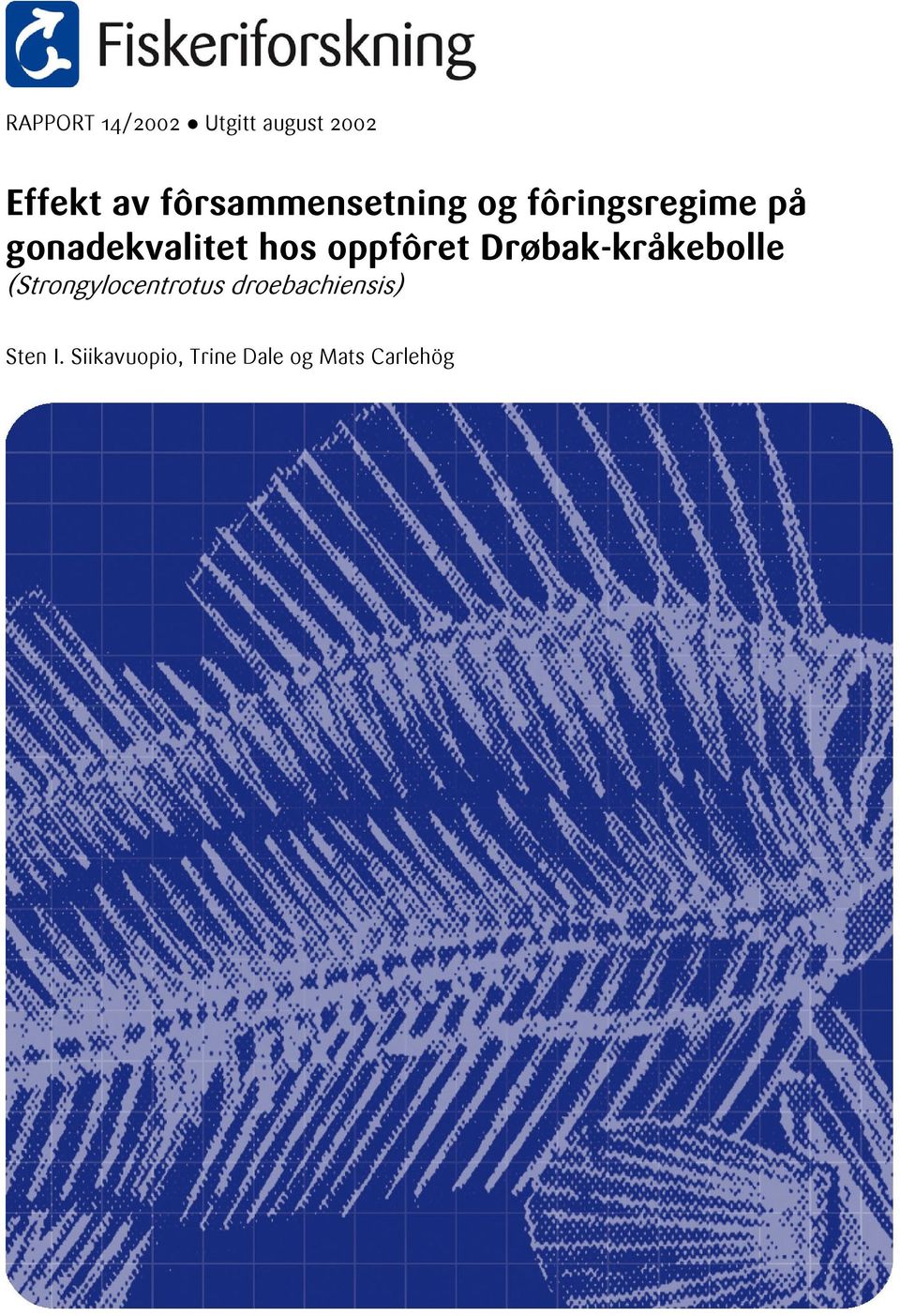 hos oppfôret Drøbak-kråkebolle (Strongylocentrotus