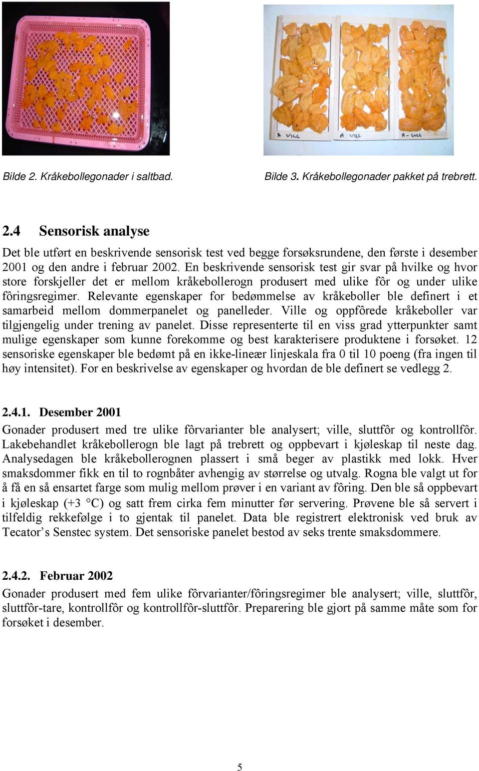 Relevante egenskaper for bedømmelse av kråkeboller ble definert i et samarbeid mellom dommerpanelet og panelleder. Ville og oppfôrede kråkeboller var tilgjengelig under trening av panelet.