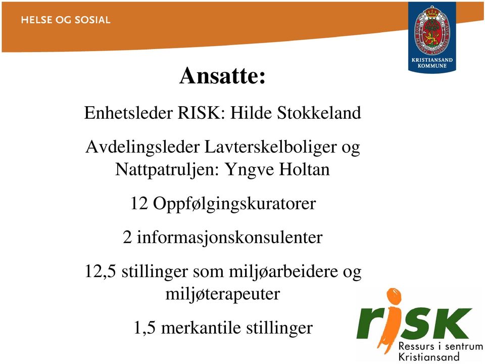 Oppfølgingskuratorer 2 informasjonskonsulenter 12,5