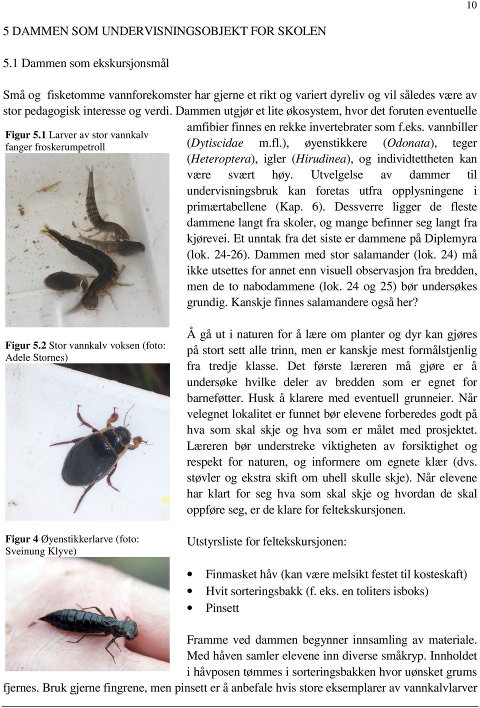 Dammen utgjør et lite økosystem, hvor det foruten eventuelle Figur 5.1 Larver av stor vannkalv fanger froskerumpetroll amfibier finnes en rekke invertebrater som f.eks. vannbiller (Dytiscidae m.fl.