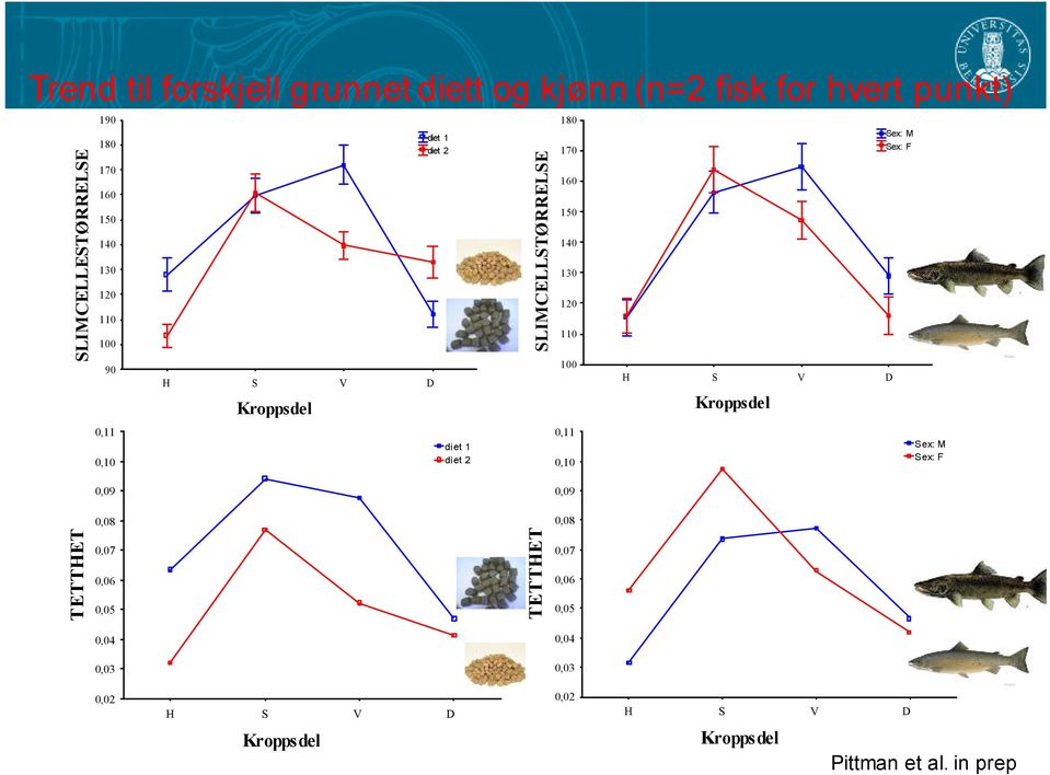 V D Kroppsdel Kroppsdel 0,11 0,11 diet 1 diet 2 0,10 0,09 0,09 0,08 0,08 0,07 0,06 0,05 Sex: M Sex: F 0,10