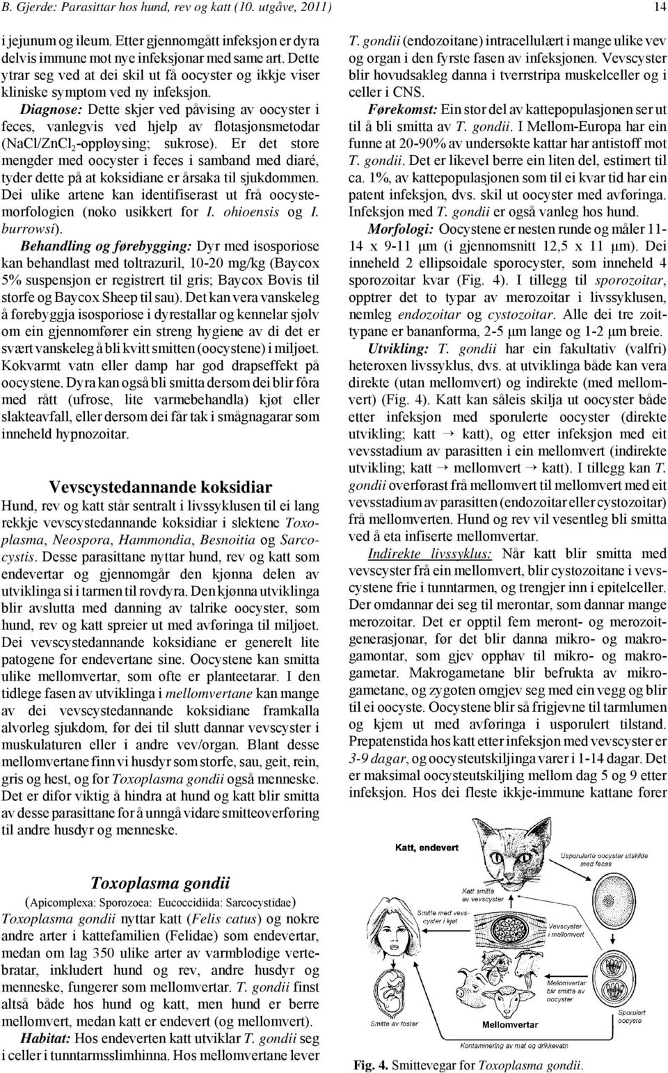 Diagnose: Dette skjer ved påvising av oocyster i feces, vanlegvis ved hjelp av flotasjonsmetodar (NaCl/ZnCl 2 -oppløysing; sukrose).