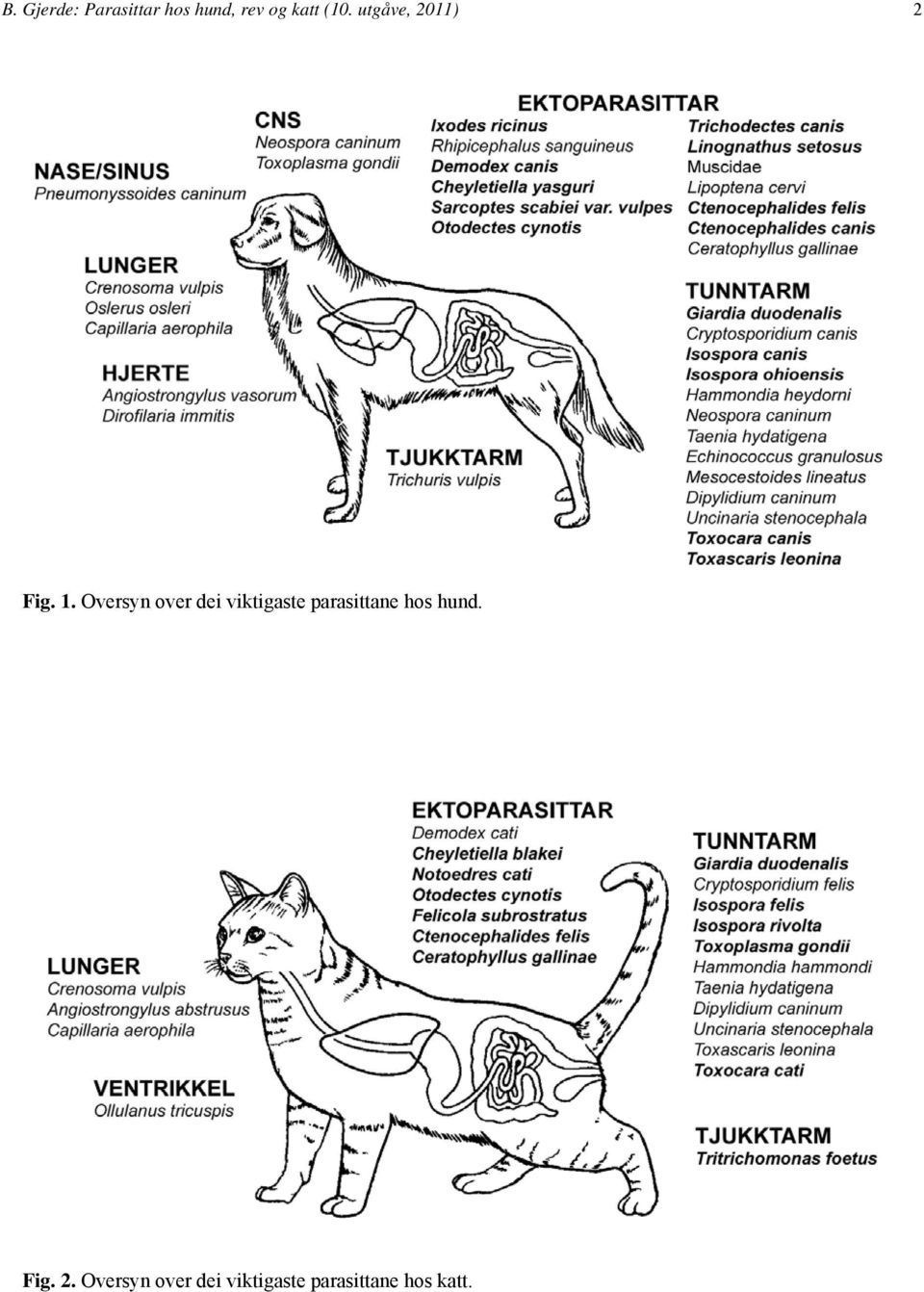 Oversyn over dei viktigaste parasittane hos