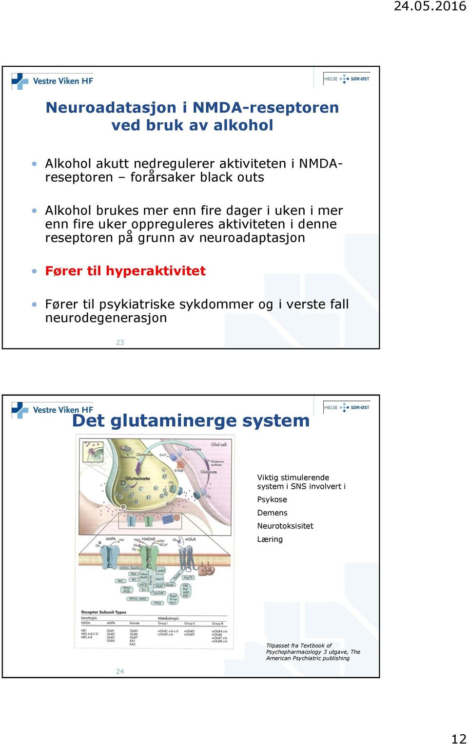 hyperaktivitet Fører til psykiatriske sykdommer og i verste fall neurodegenerasjon 23 Det glutaminerge system Viktig stimulerende system i