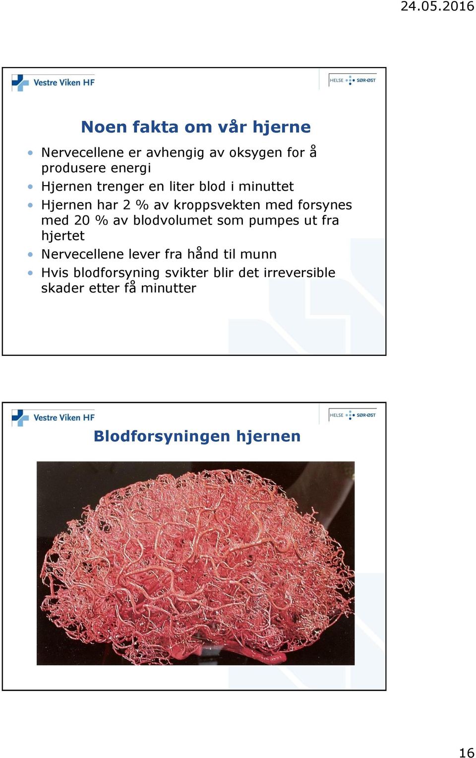 20 % av blodvolumet som pumpes ut fra hjertet Nervecellene lever fra hånd til munn Hvis