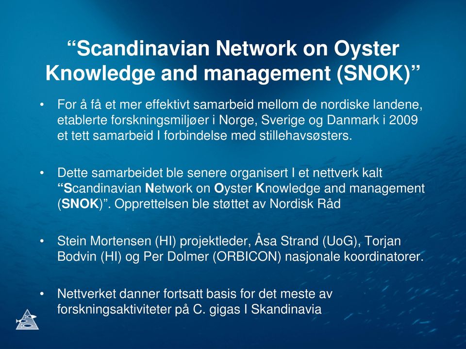 Dette samarbeidet ble senere organisert I et nettverk kalt Scandinavian Network on Oyster Knowledge and management (SNOK).