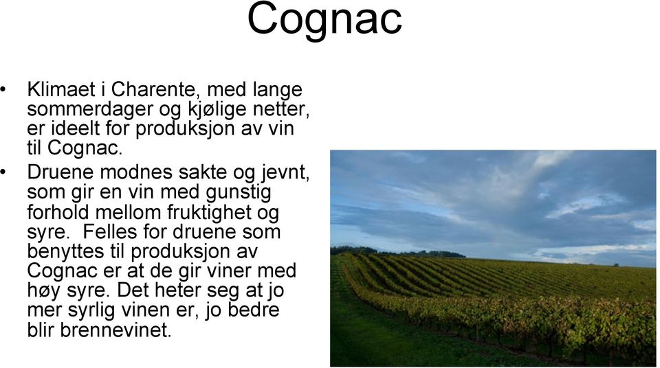 Druene modnes sakte og jevnt, som gir en vin med gunstig forhold mellom fruktighet og