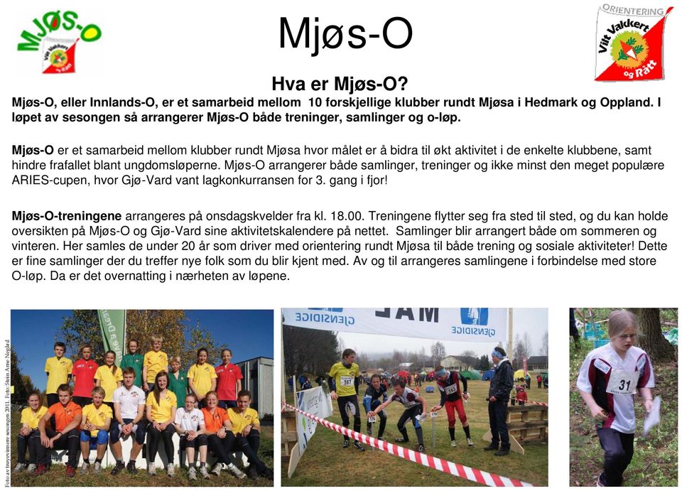 Mjøs-O er et samarbeid mellom klubber rundt Mjøsa hvor målet er å bidra til økt aktivitet i de enkelte klubbene, samt hindre frafallet blant ungdomsløperne.