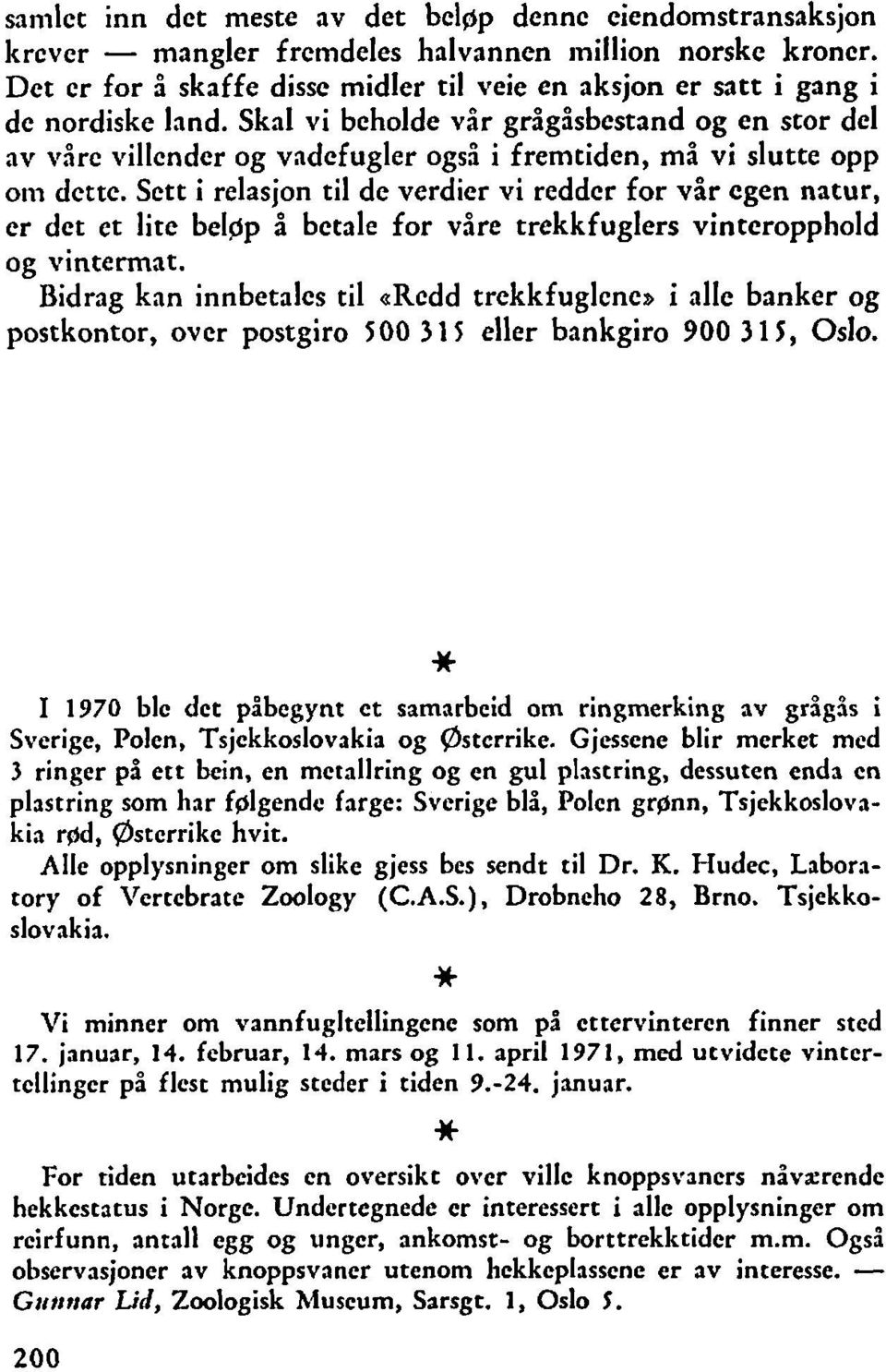 Skal vi beholde var grågåsbcstand og en stor del av vårc villcndcr og vadefugler også i fremtiden, må vi slutte opp or11 dcttc.