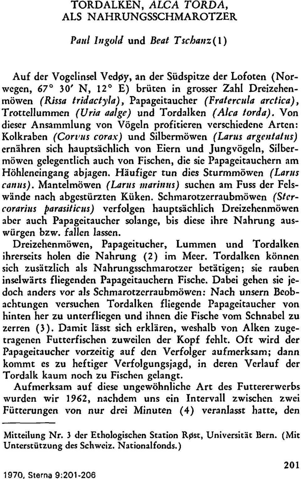 Von dieser Ansammlung von Vogeln profitieren verschiedcne Arten: Kolknben (Cortjtis coras) und Silbermowen (Lar~rs argetttattts) ernahren sich hauptsachlich von Eiern und Jungvogeln, Silbermowcn