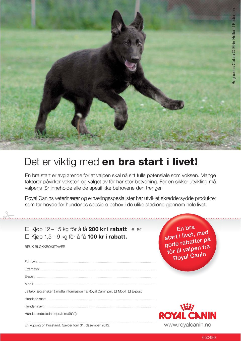 Royal Canins veterinærer og ernæringsspesialister har utviklet skredder sydde produkter som tar høyde for hundenes spesielle behov i de ulike stadiene gjennom hele livet.