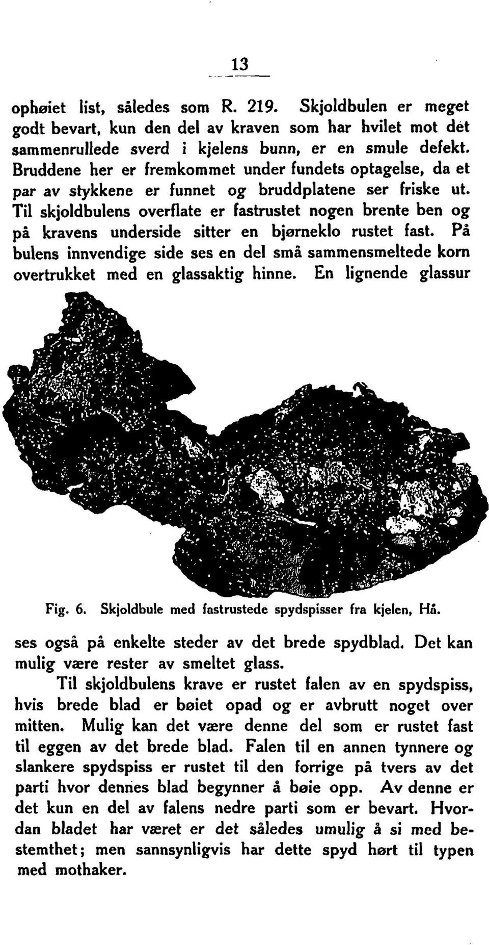 Til skjoldbulens overflate er fastrustet nogen brente ben og pi kravens underside sitter en bierneklo rustet fast.