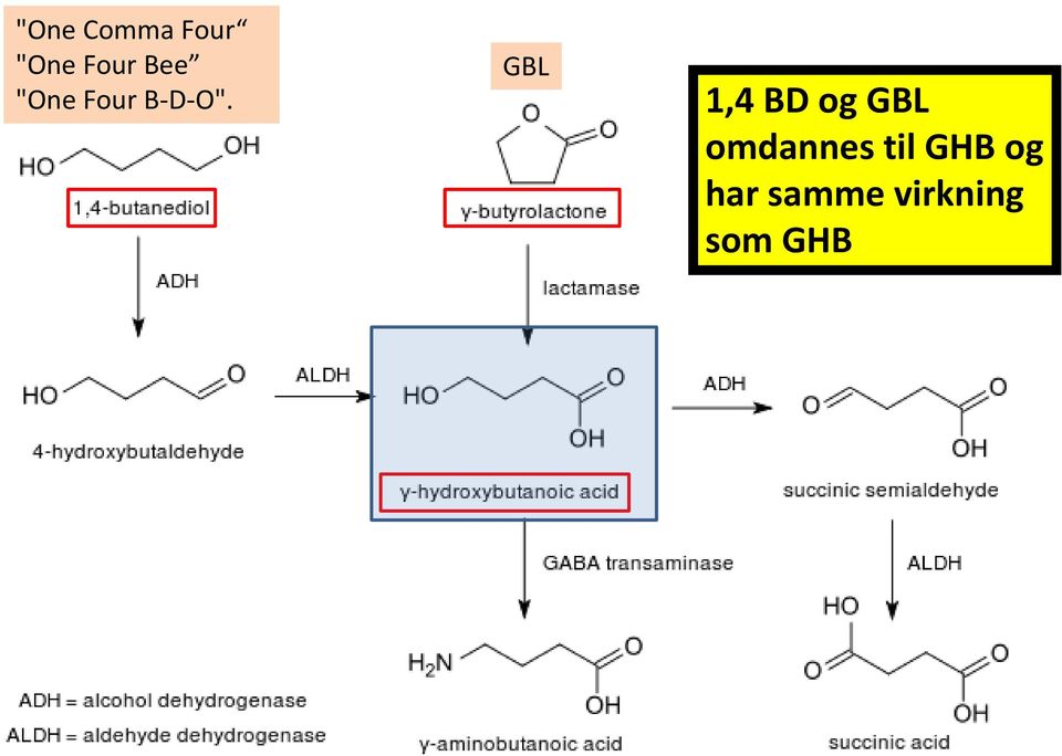 GBL 1,4 BD og GBL omdannes