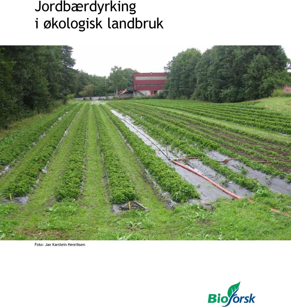 landbruk Foto: