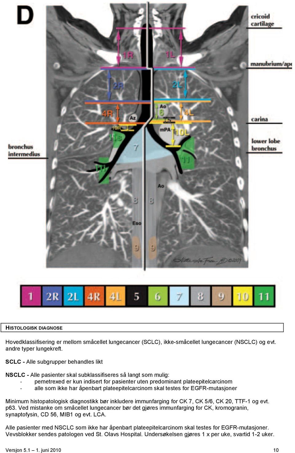 har åpenbart plateepitelcarcinom skal testes for EGFR-mutasjoner Minimum histopatologisk diagnostikk bør inkludere immunfarging for CK 7, CK 5/6, CK 20, TTF-1 og evt. p63.