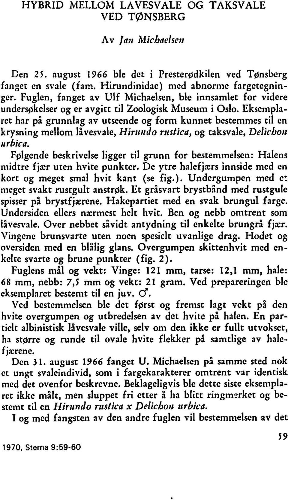 Eksemplaret har på grunnlag av utseende og form kunnet bestemmes til cn krysning mellom låvesvale, Hirtttrdo ritstica, og taksvale, Dclichon 11 rbica.