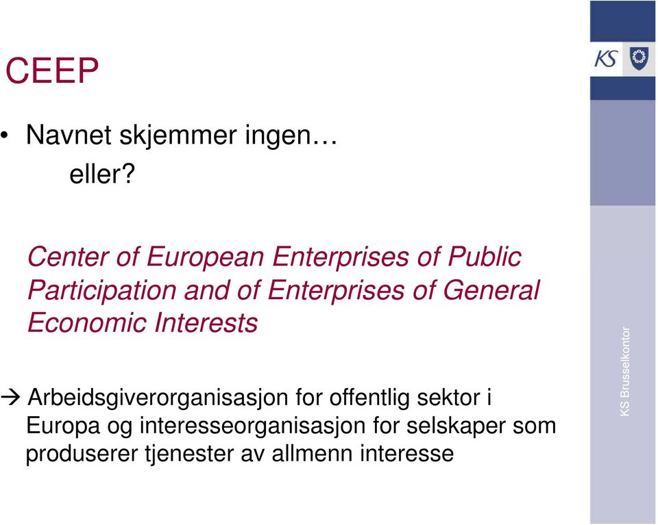 Enterprises of General Economic Interests Arbeidsgiverorganisasjon