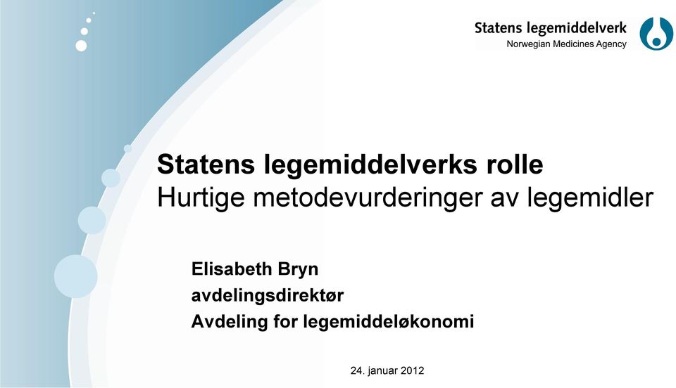 Elisabeth Bryn avdelingsdirektør