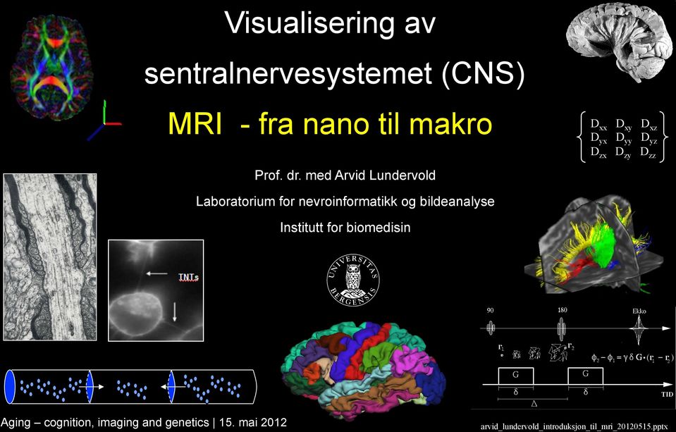 med Laboratorium for nevroinformatikk og bildeanalyse Institutt for biomedisin C( x Δx, t)