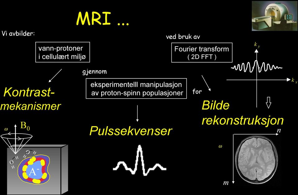 .. gjennom: eksperimentelll manipulasjon av proton-spinn