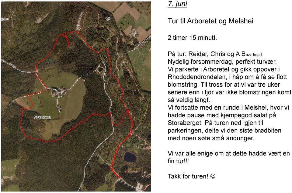 Til tross for at vi var tre uker senere enn i fjor var ikke blomstringen komt så veldig langt.