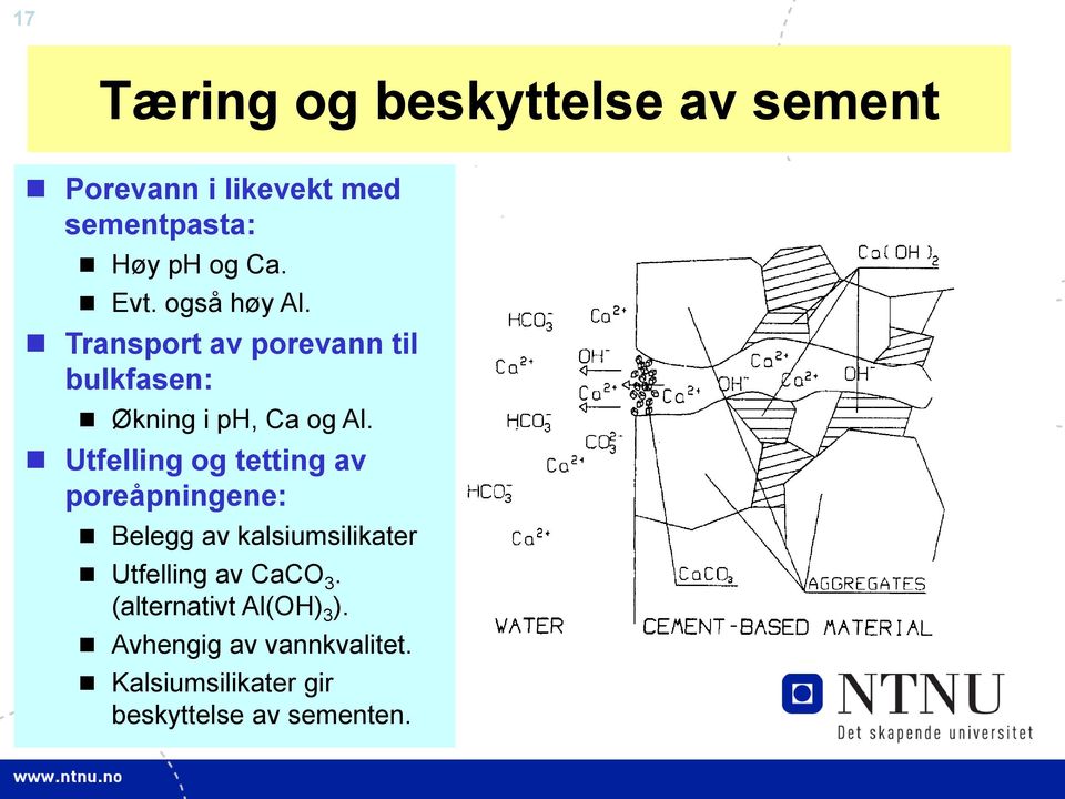 Utfelling og tetting av poreåpningene: Belegg av kalsiumsilikater Utfelling av CaCO 3.