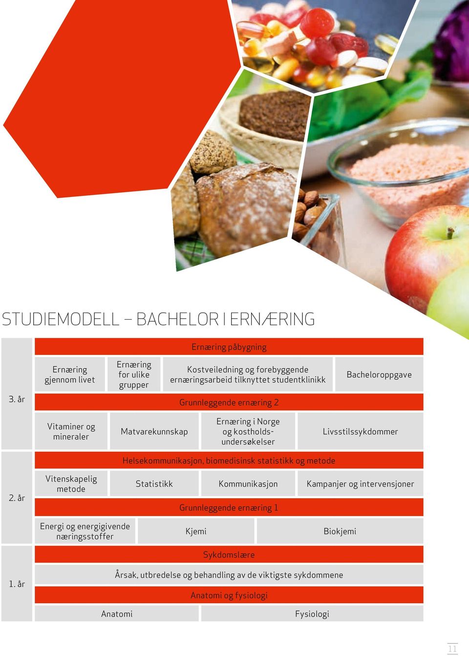 år Bacheloroppgave Grunnleggende ernæring 2 Vitaminer og mineraler Ernæring i Norge og kostholdsundersøkelser Matvarekunnskap Livsstilssykdommer