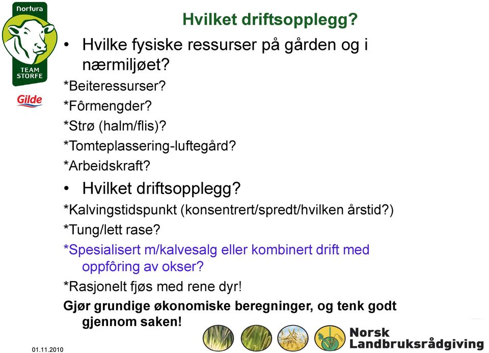 *Kalvingstidspunkt (konsentrert/spredt/hvilken årstid?) *Tung/lett rase?