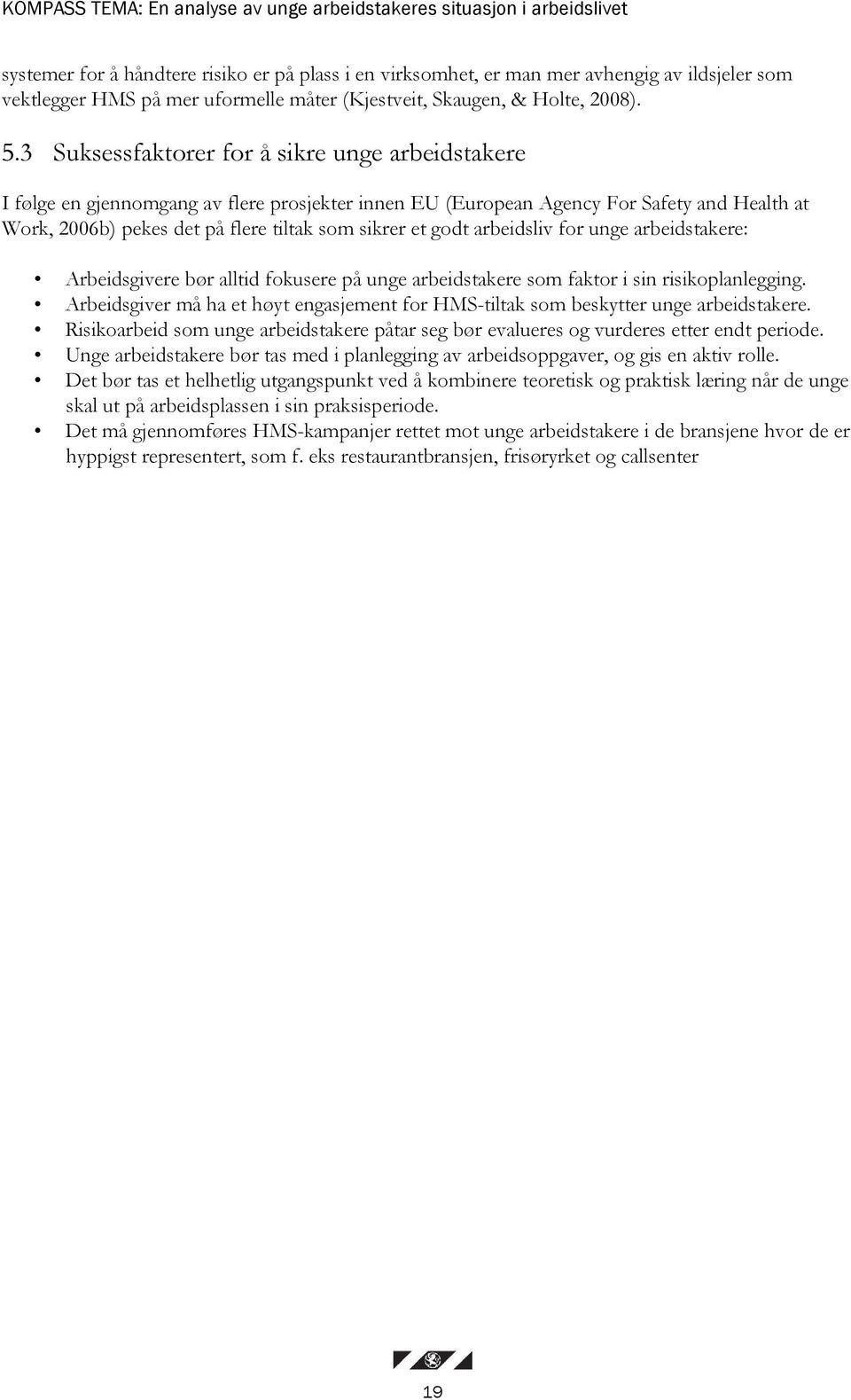 3 Suksessfaktorer for å sikre unge arbeidstakere I følge en gjennomgang av flere prosjekter innen EU (European Agency For Safety and Health at Work, 2006b) pekes det på flere tiltak som sikrer et