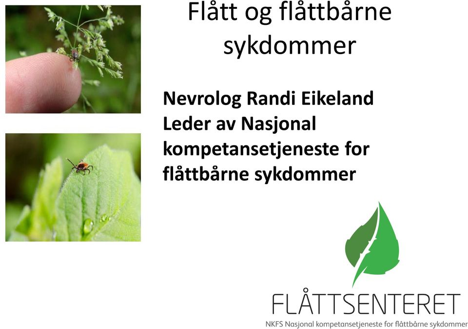 Eikeland Leder av Nasjonal