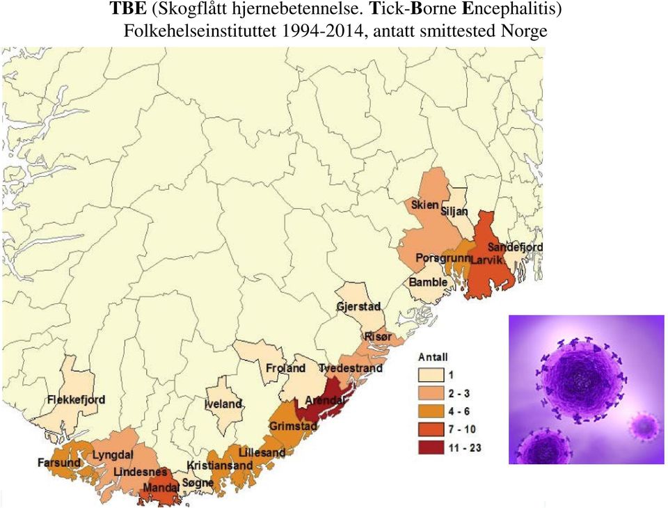 Tick-Borne Encephalitis)