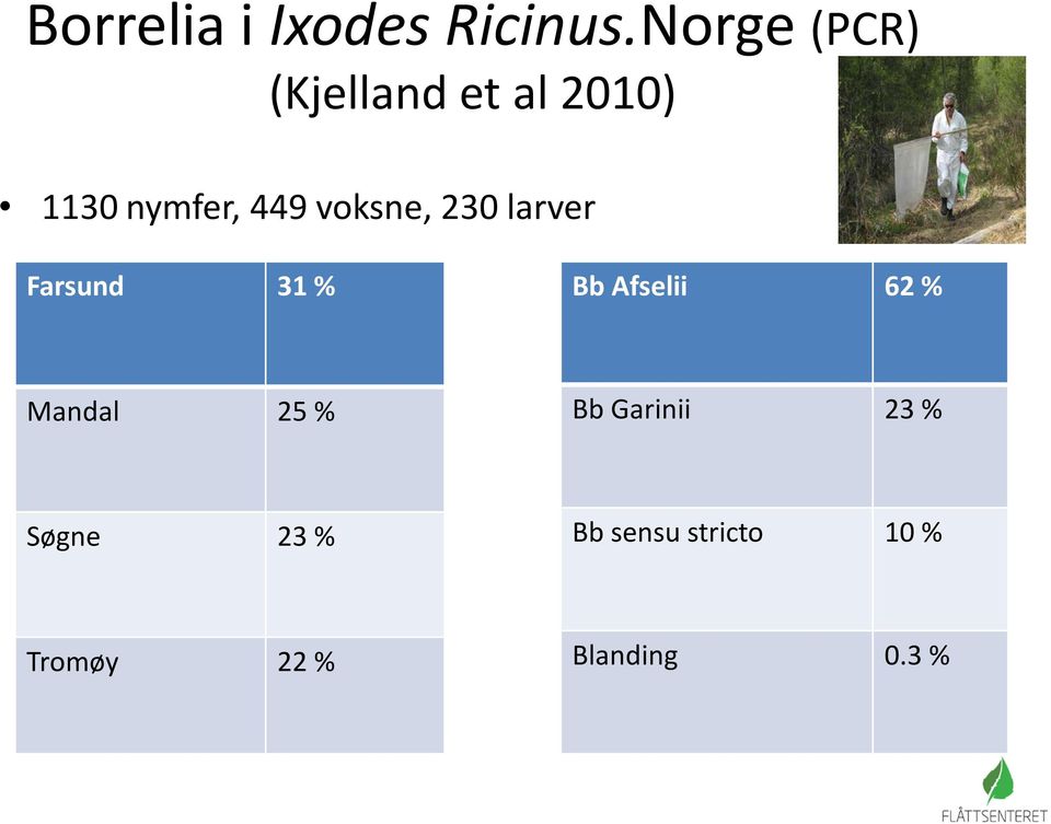 voksne, 230 larver Farsund 31 % Bb Afselii 62 %