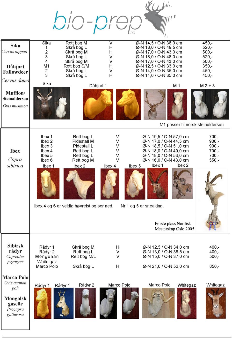 450,- 3 Skrå bog L H Ø-N 14,0 / O-N 35,0 cm 450,- Sika Dåhjort 1 M 1 M 2 + 3 M1 passer til norsk steinaldersau Ibex Capra sibirica Ibex 1 Rett bog L V Ø-N 19,5 / O-N 57,0 cm 700,- Ibex 2 Pidestall M