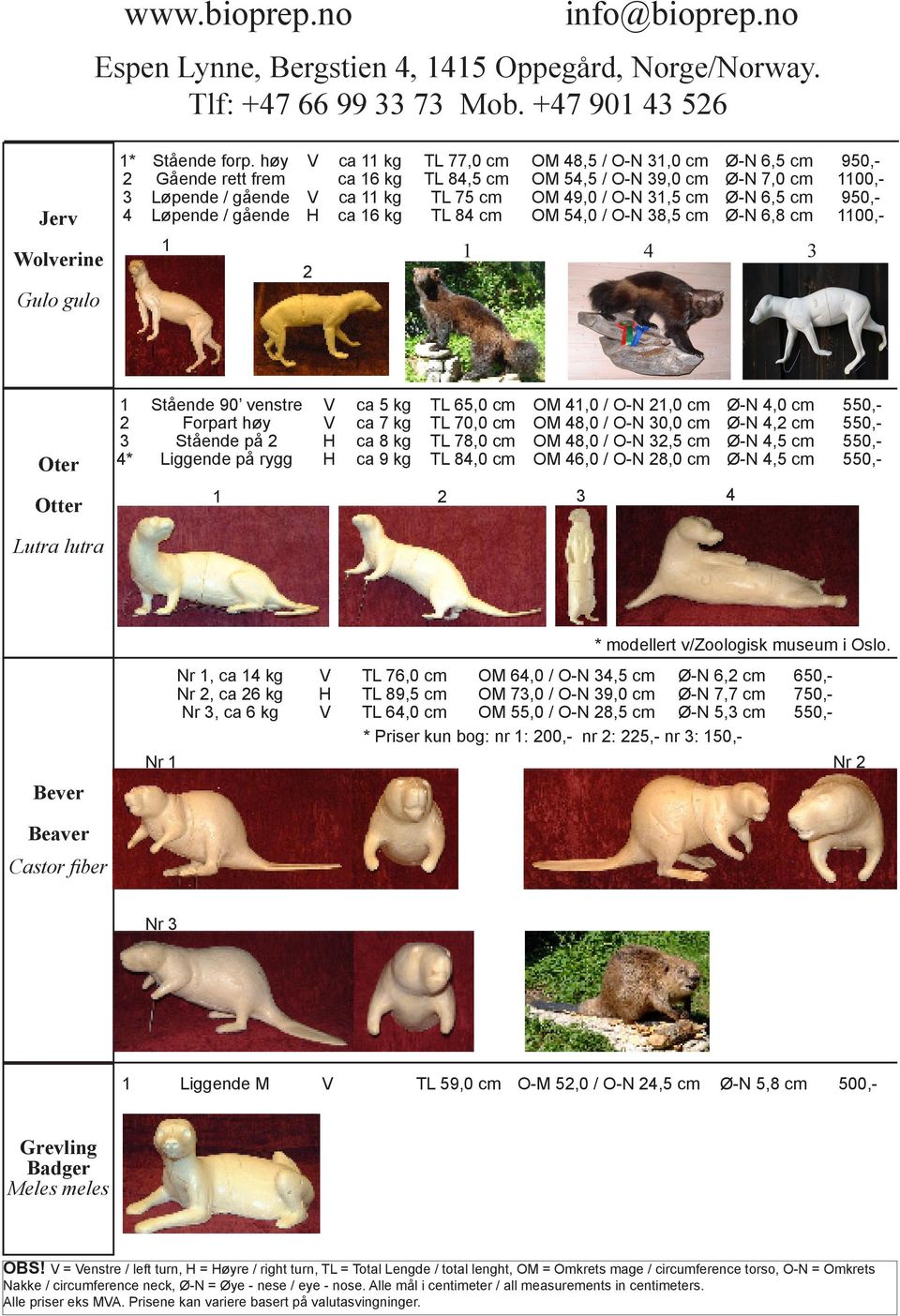 31,5 cm Ø-N 6,5 cm 950,- 4 Løpende / gående H ca 16 kg TL 84 cm OM 54,0 / O-N 38,5 cm Ø-N 6,8 cm 1100,- 1 2 1 4 3 Oter Otter 1 Stående 90 venstre V ca 5 kg TL 65,0 cm OM 41,0 / O-N 21,0 cm Ø-N 4,0 cm