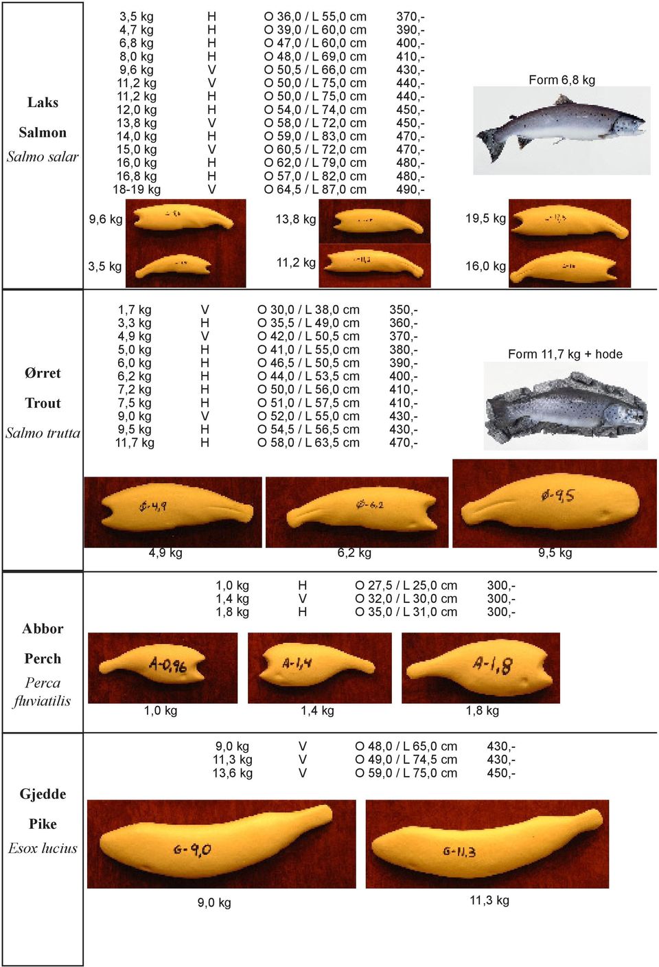 470,- 16,0 kg H O 62,0 / L 79,0 cm 480,- 16,8 kg H O 57,0 / L 82,0 cm 480,- 18-19 kg V O 64,5 / L 87,0 cm 490,- Form 6,8 kg 9,6 kg 13,8 kg 19,5 kg 3,5 kg 11,2 kg 16,0 kg Ørret Trout Salmo trutta 1,7