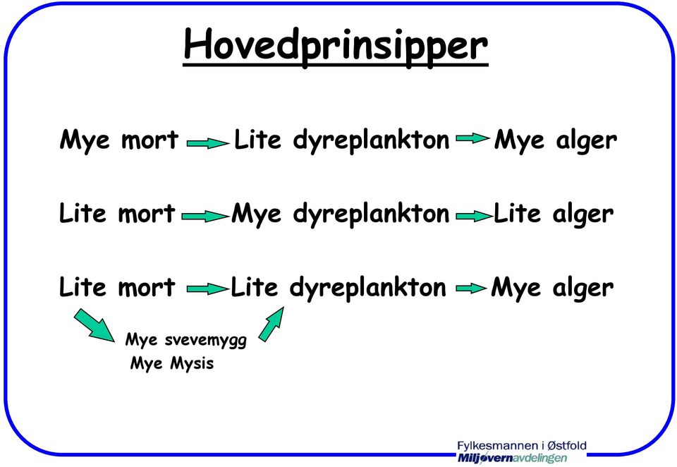 dyreplankton Lite alger Lite mort