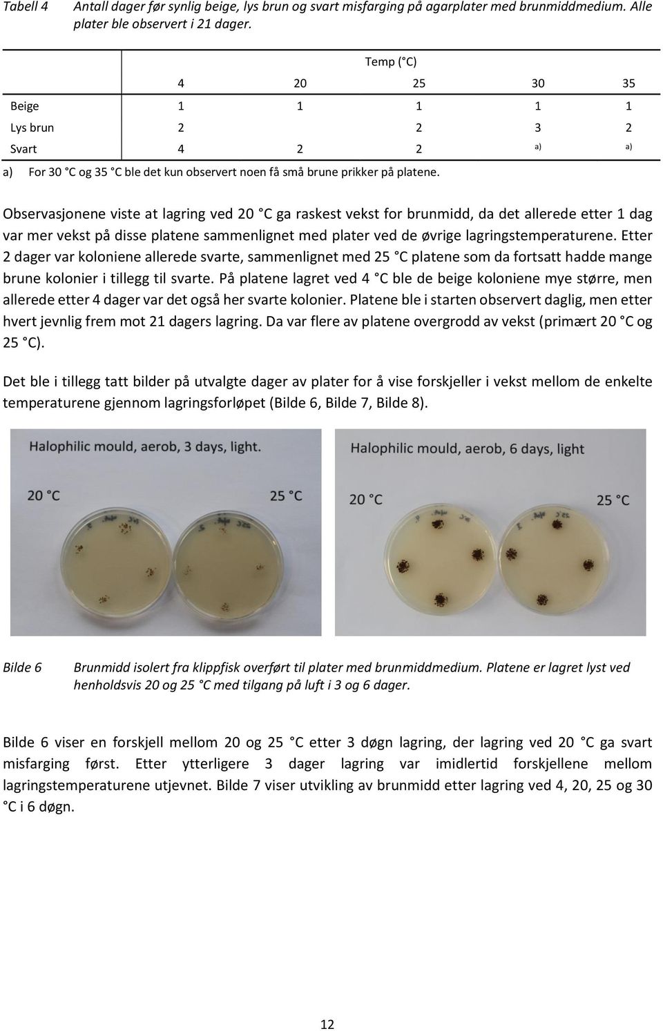 Observasjonene viste at lagring ved 20 C ga raskest vekst for brunmidd, da det allerede etter 1 dag var mer vekst på disse platene sammenlignet med plater ved de øvrige lagringstemperaturene.