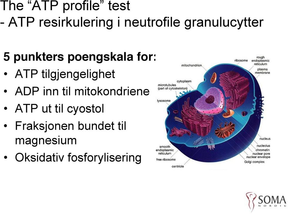 tilgjengelighet ADP inn til mitokondriene ATP ut