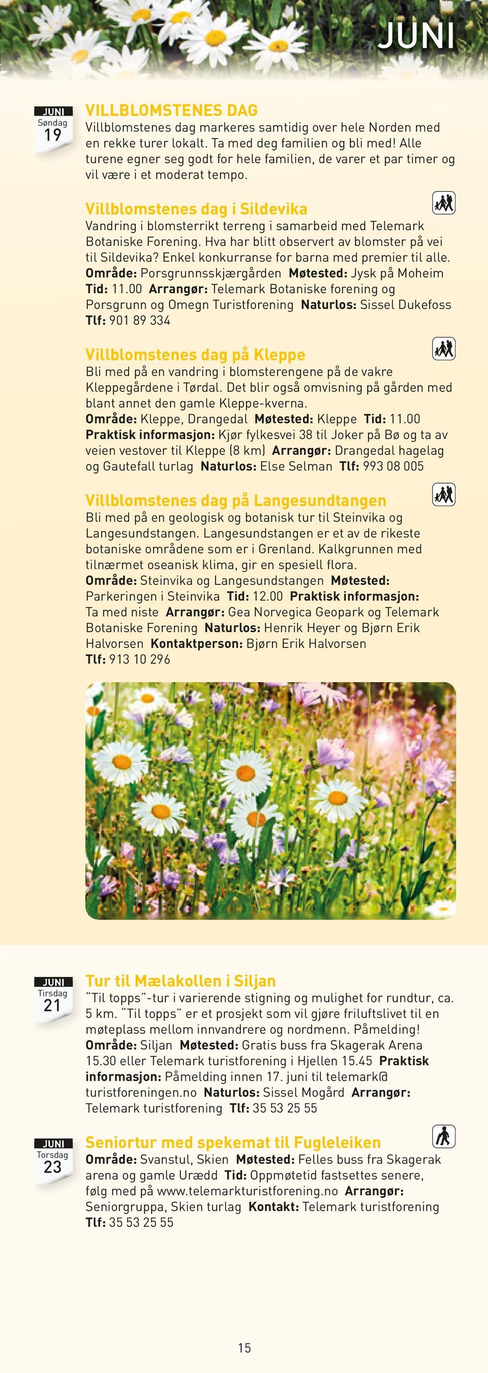 Villblomstenes dag i Sildevika Vandring i blomsterrikt terreng i samarbeid med Telemark Botaniske Forening. Hva har blitt observert av blomster på vei til Sildevika?