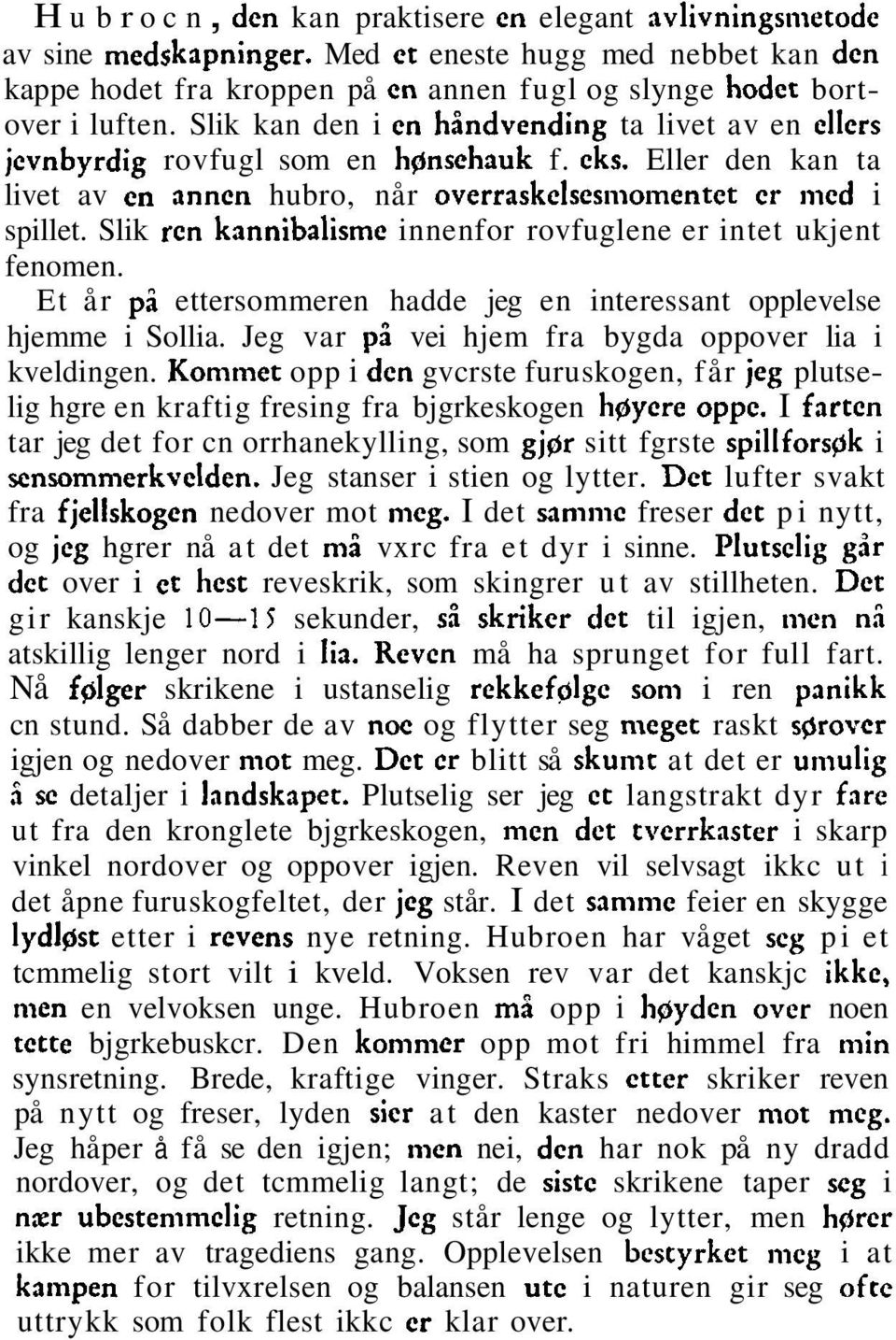 Slik rcn kannibalisme innenfor rovfuglene er intet ukjent fenomen. Et år pi ettersommeren hadde jeg en interessant opplevelse hjemme i Sollia. Jeg var pi vei hjem fra bygda oppover lia i kveldingen.