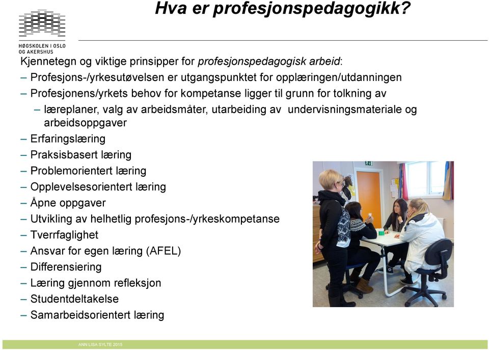 Profesjonens/yrkets behov for kompetanse ligger til grunn for tolkning av læreplaner, valg av arbeidsmåter, utarbeiding av undervisningsmateriale og