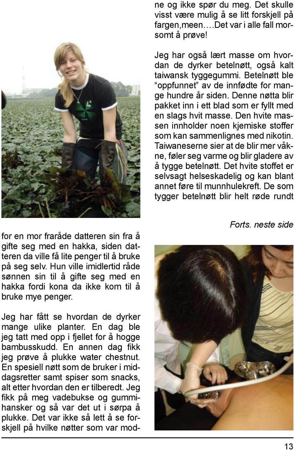 Denne nøtta blir pakket inn i ett blad som er fyllt med en slags hvit masse. Den hvite massen innholder noen kjemiske stoffer som kan sammenlignes med nikotin.