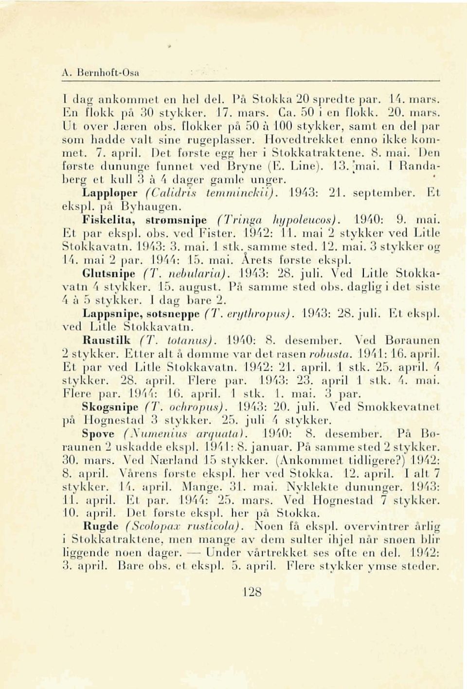 I) n førs L dunullg funnr'l. ved I I'yn ( I ~. Lin ). I,:n ai. I Rand a- bel'o' 'l kull '3 cl I dag r framl(' ung ' I'. ' LUl'plop r ( alie/ris ll1l1l1inchi). 19Li :.;,1. pl 'mb r, 1'.: 1 ekspl. på B.