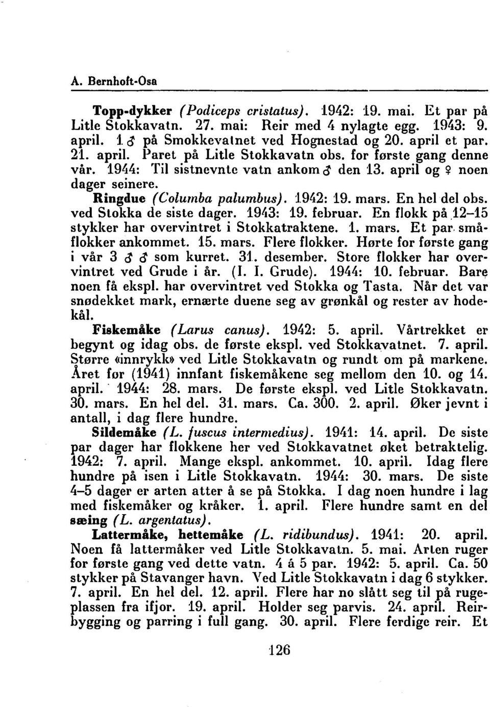 En hel del obs. ved Stokka de siste dager. 1943: 19. februar. En flokk på.12-15 stykker har overvintret i Stokkatraktene. 1. mars. Et par. småflokker ankommet. 15. mars. Flere flokker.